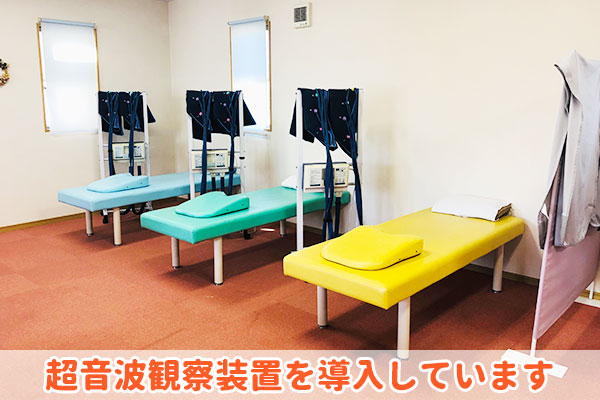 超音波観察装置を導入しています